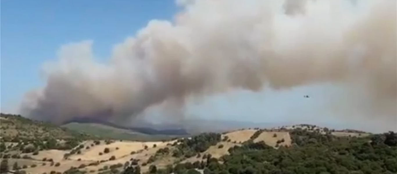 Φωτιά στην Εύβοια: Σε τρία μέτωπα δίνουν μάχη οι πυροσβεστικές δυνάμεις - Εκκενώθηκαν χωριά και οικισμοί (βίντεο-φωτο)